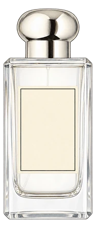 The drawn Wild Bluebell Cologne bottle