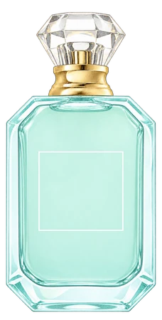 The drawn Maldives in a Bottle Ylang Coco 20 bottle