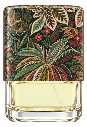 The drawn Adelphi Sun bottle