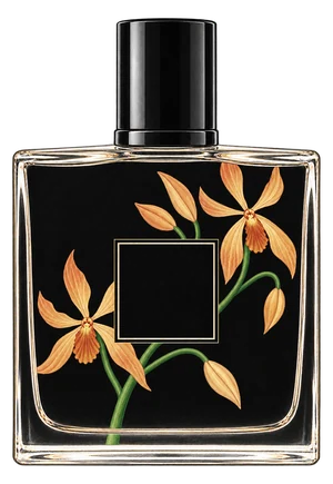 The drawn Madagascar Vanilla bottle