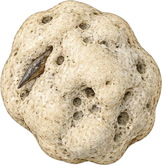 The drawing: ambergris, small pale lump