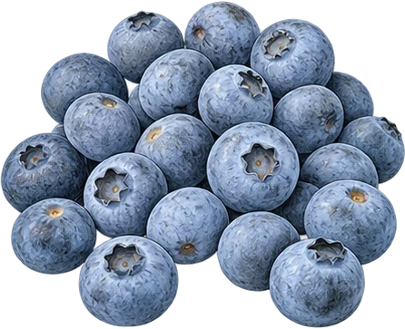 The drawing: blueberry