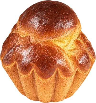 The drawing: brioche