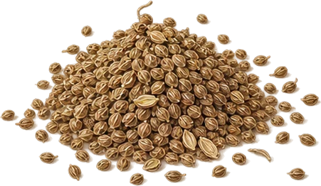 The drawing: celery, seed heap