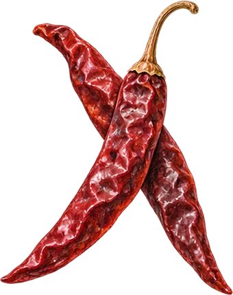 The drawing: chilli