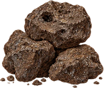 The drawing: hyraceum, stone lumps