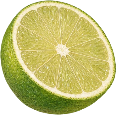 The drawing: lime, halved lime