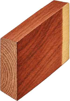 The drawing: mahogany