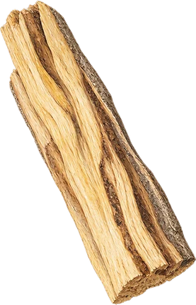 The drawing: palo santo, split piece