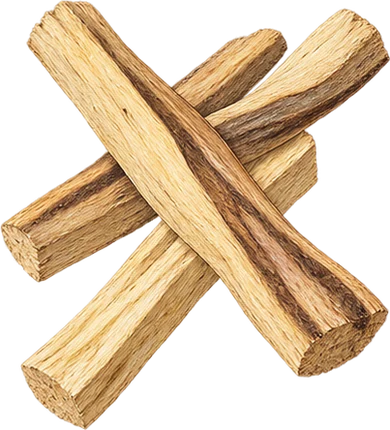 The drawing: palo santo, stick bundle