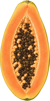 The drawing: papaya