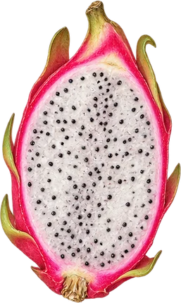 The drawing: pitaya