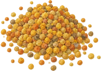 The drawing: pollen