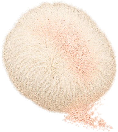 The drawing: powder puff, flat puff with powder