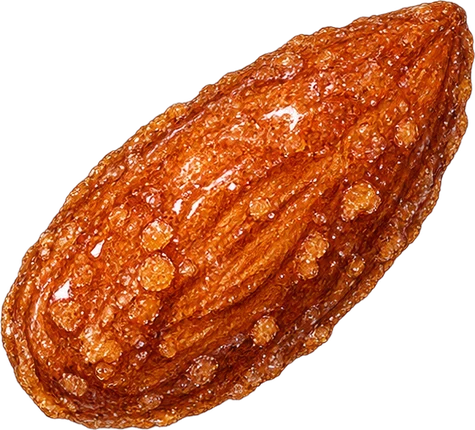 The drawing: praline