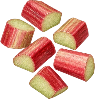 The drawing: rhubarb