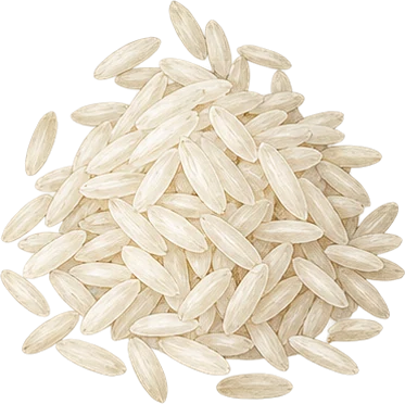 The drawing: rice