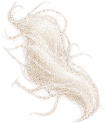 The drawing: spun sugar