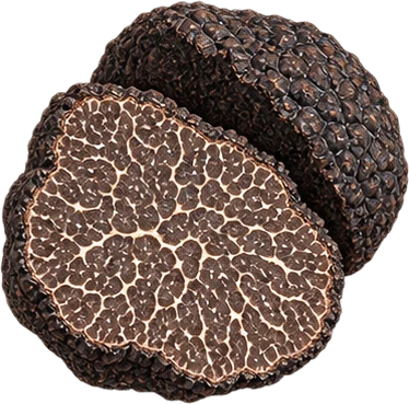 The drawing: truffle