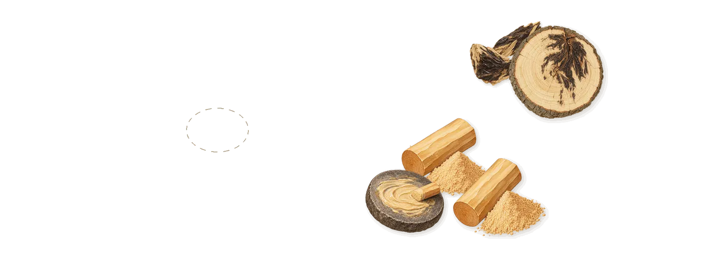 Genetic Bliss’s scent picture, a draft: akigalawood (oud), sandalwood drawn so far; dashed outlines where nothing is drawn yet
