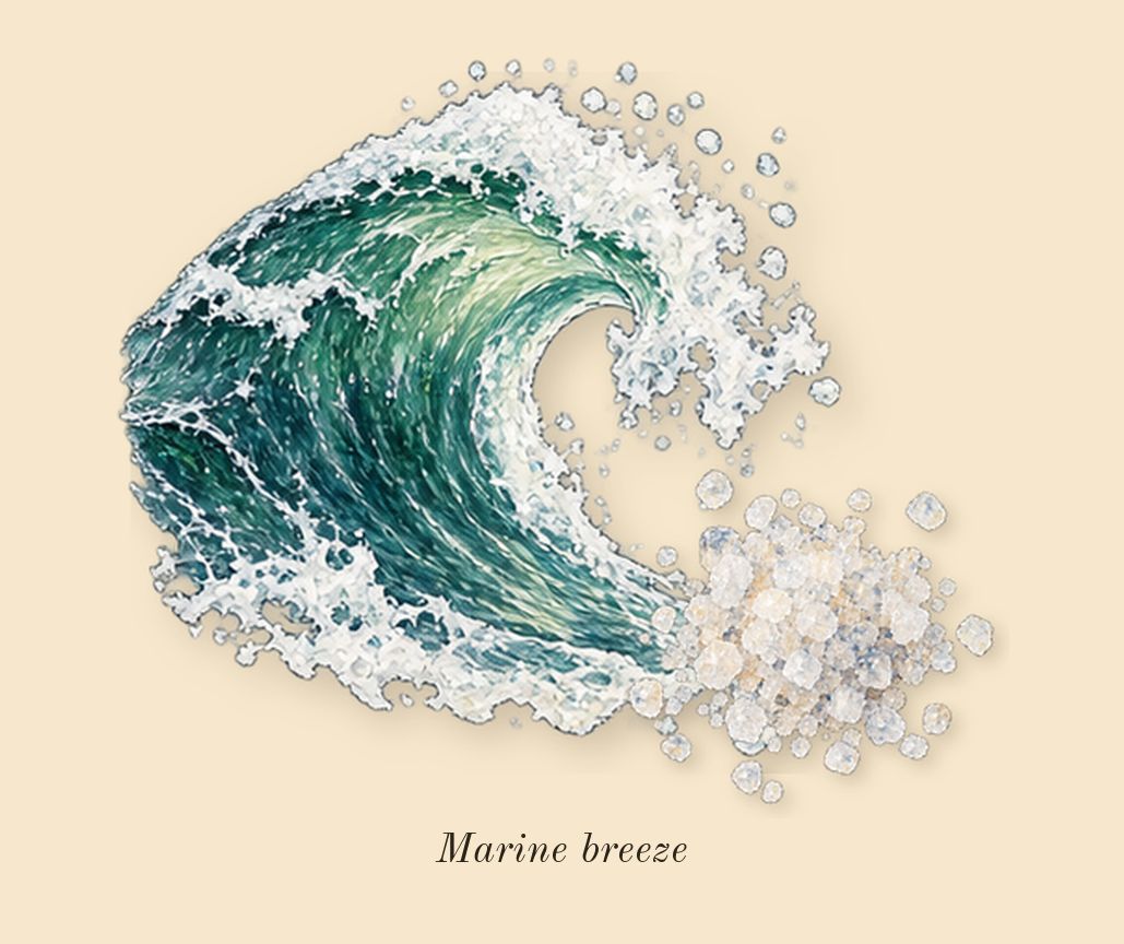 Fierce, heart: Marine breeze