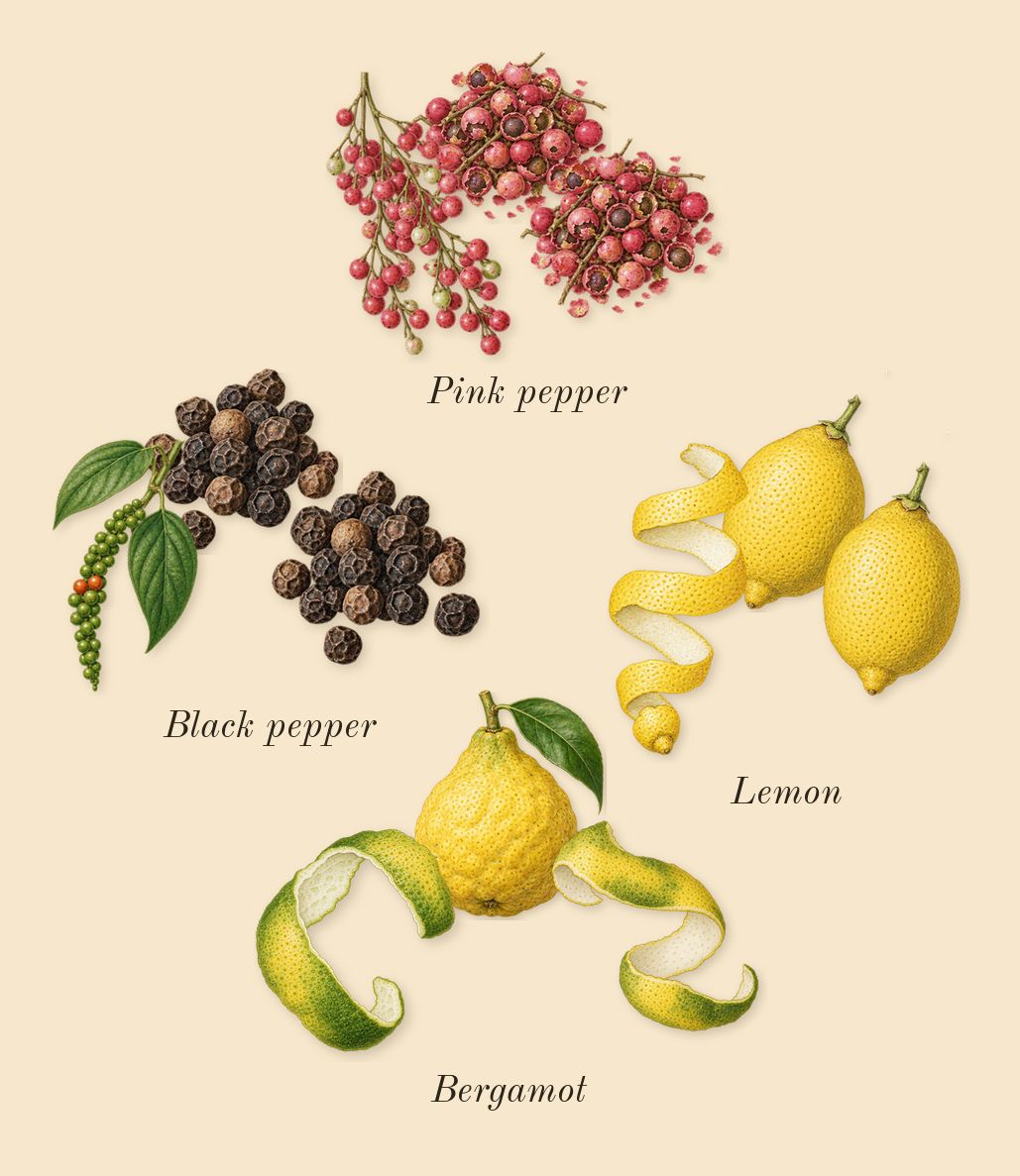 Colonia C.L.U.B., top notes: Bergamot, Lemon, Pink pepper, Black pepper