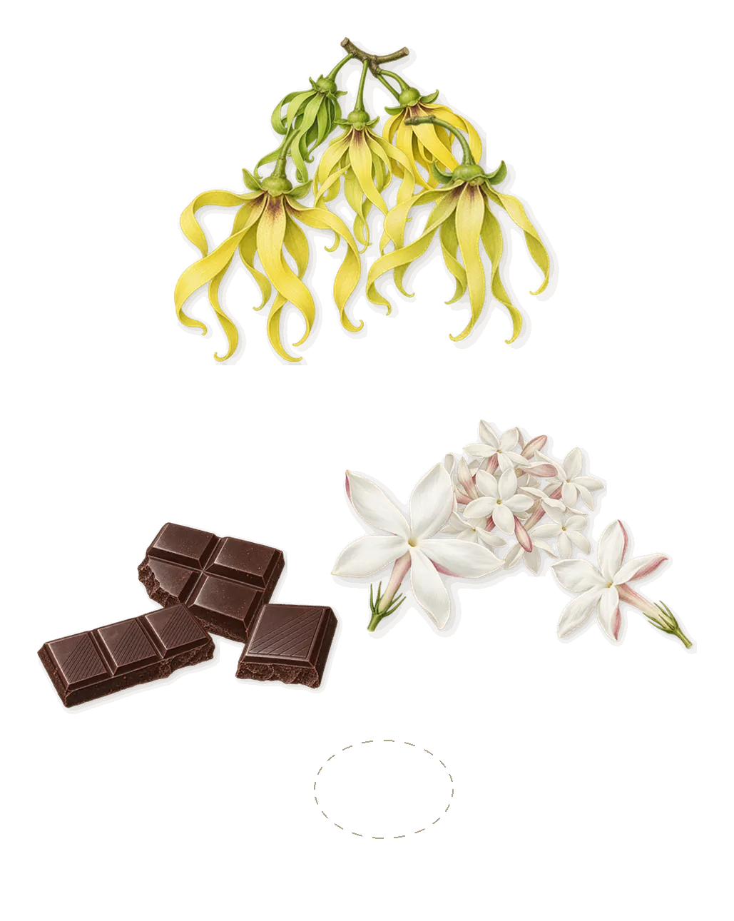 Cierge de Lune, as it settles: Crystalline accord, Ylang-ylang, Hedione (jasmine), Dark chocolate