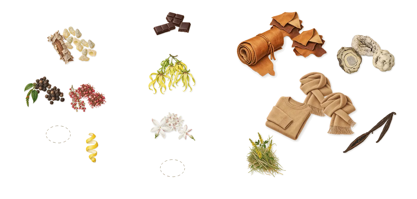 Cierge de Lune’s scent picture, a draft: vanilla, ylang-ylang, cetalox (ambergris), leather, frankincense, musk drawn so far; dashed outlines where nothing is drawn yet
