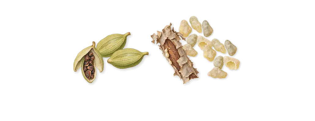 Copal Azur, when you spray it: Frankincense, Cardamom