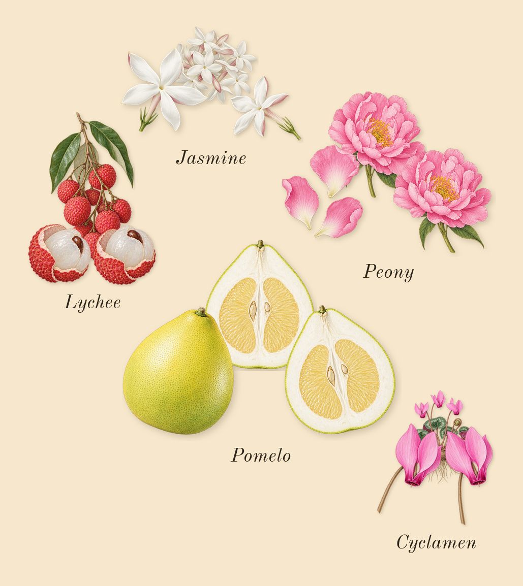 Fleur de Peony, heart: Lychee, Peony, Pomelo, Jasmine, Cyclamen