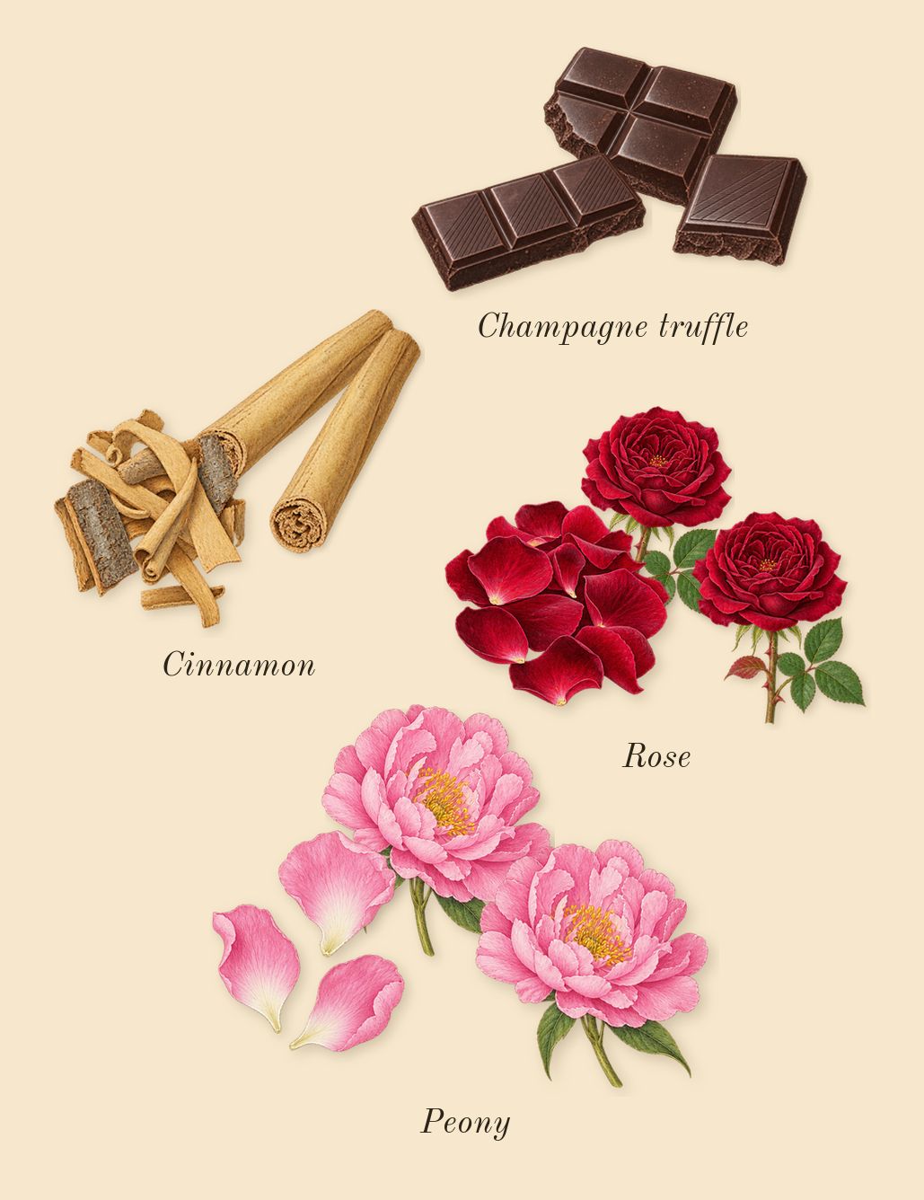 Rose Cocoa, heart: Cinnamon, Peony, Rose, Champagne truffle