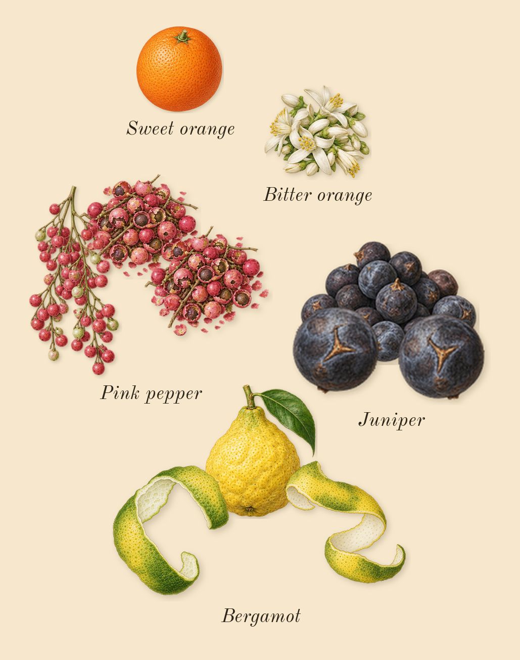 Eternal Karst, top notes: Juniper, Pink pepper, Bergamot, Sweet orange, Bitter orange