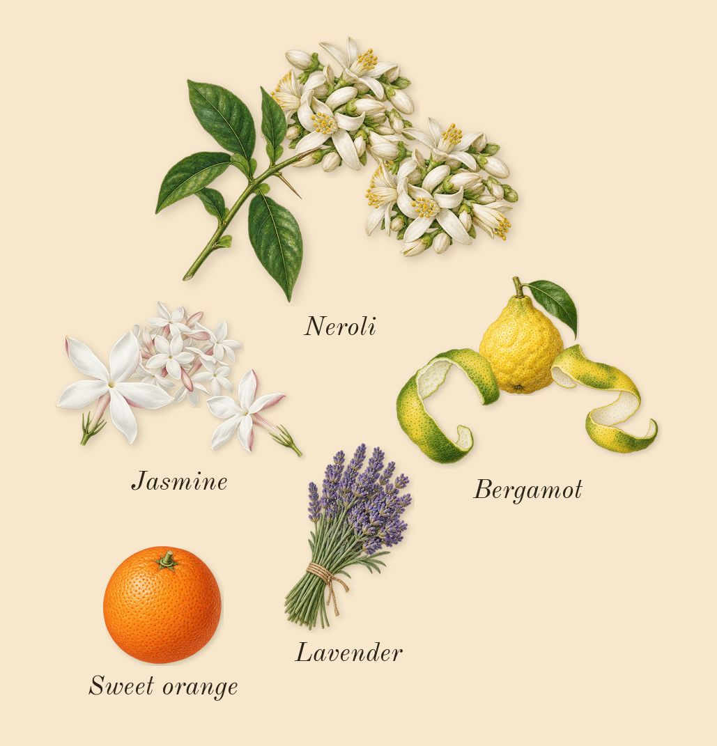 Marrakech Intense, top notes: Bergamot, Neroli, Jasmine, Lavender, Sweet orange