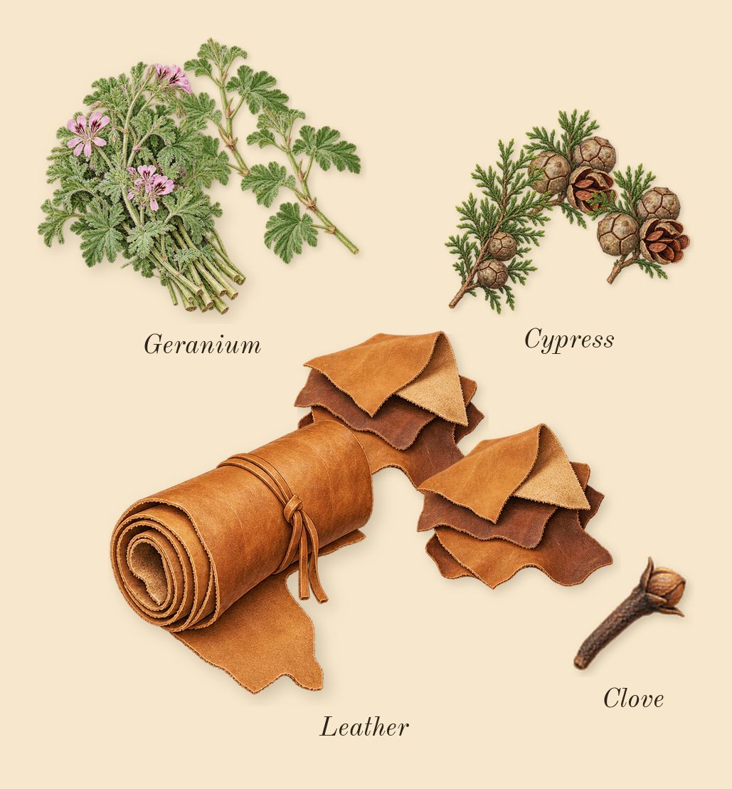 Silently, Hwyl, heart: Cypress, Leather, Geranium, Clove