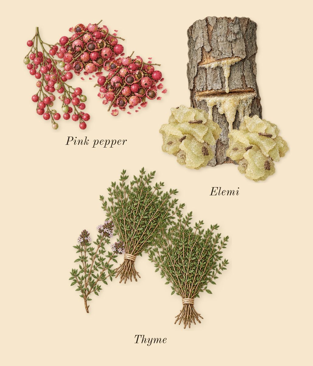 Silently, Hwyl, top notes: Thyme, Elemi, Pink pepper
