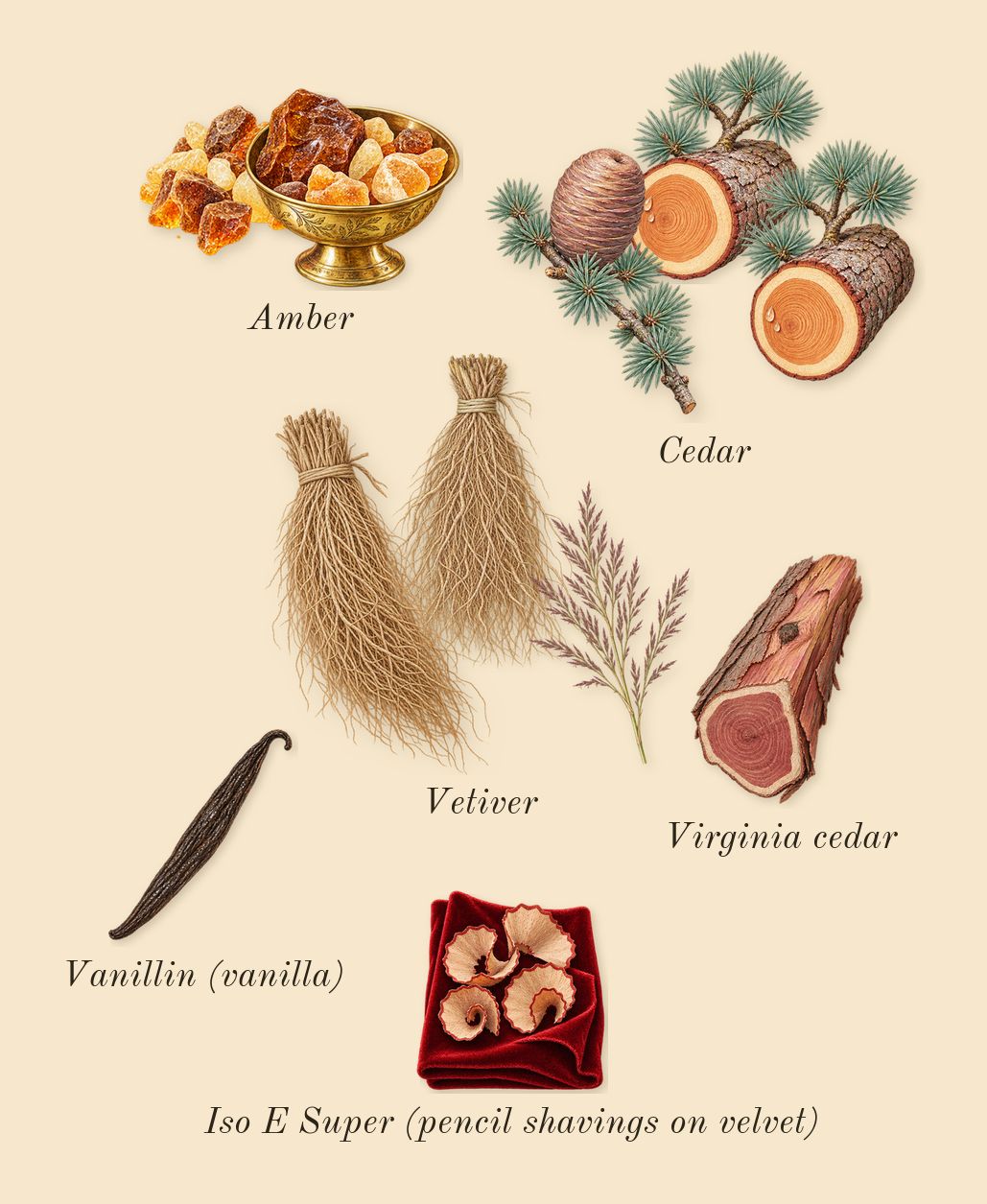 Tacit Truths, dry-down: Cedar, Vetiver, Amber, Virginia cedar, Iso E Super (pencil shavings on velvet), Vanillin (vanilla)