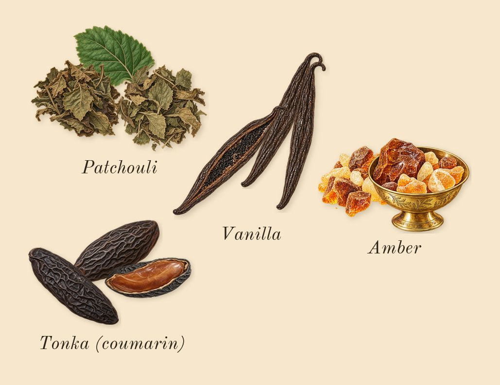 9 PM, dry-down: Patchouli, Amber, Vanilla, Tonka (coumarin)