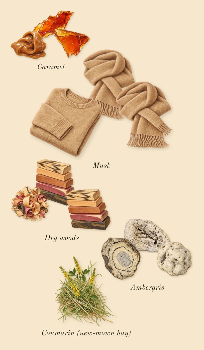 9 PM Rebel, dry-down: Caramel, Dry woods, Ambergris, Musk, Coumarin (new-mown hay)