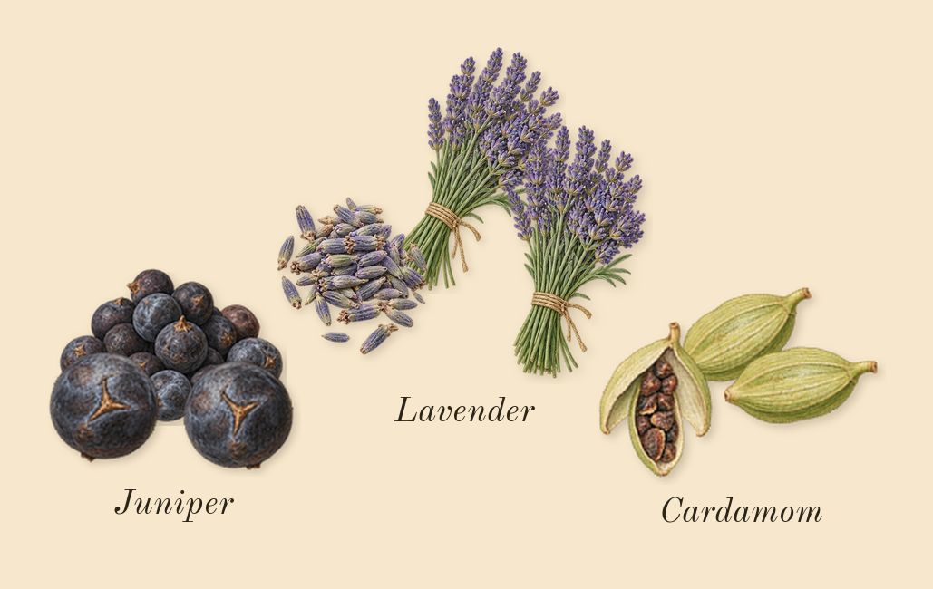Lynked Freedom, heart: Lavender, Cardamom, Juniper