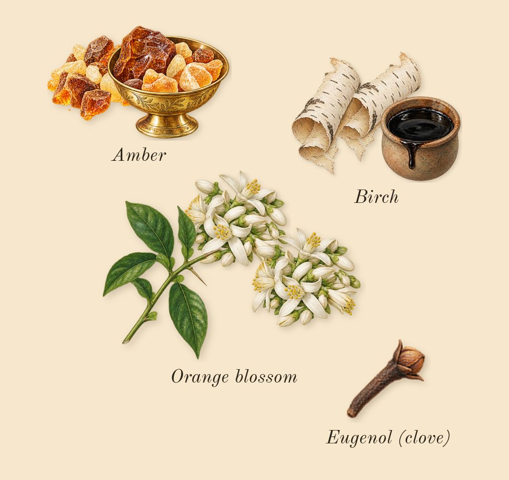 Supremacy Collector's Edition, heart: Orange blossom, Birch, Amber, Eugenol (clove)