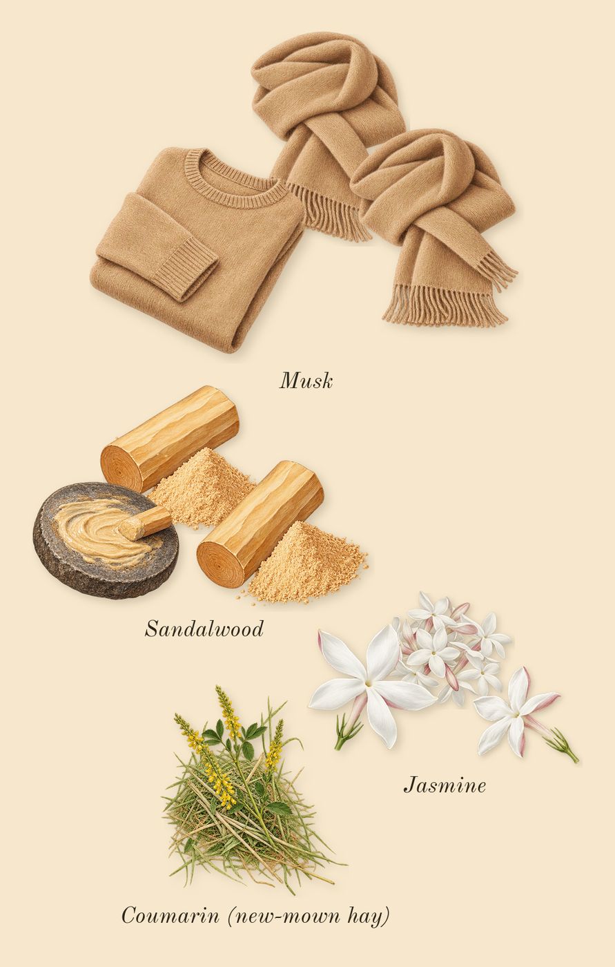 Supremacy Gold, dry-down: Jasmine, Musk, Sandalwood, Coumarin (new-mown hay)