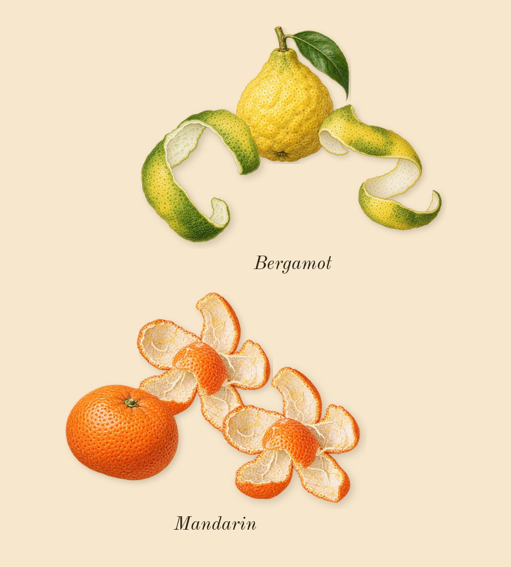 Turathi Blue, top notes: Bergamot, Mandarin