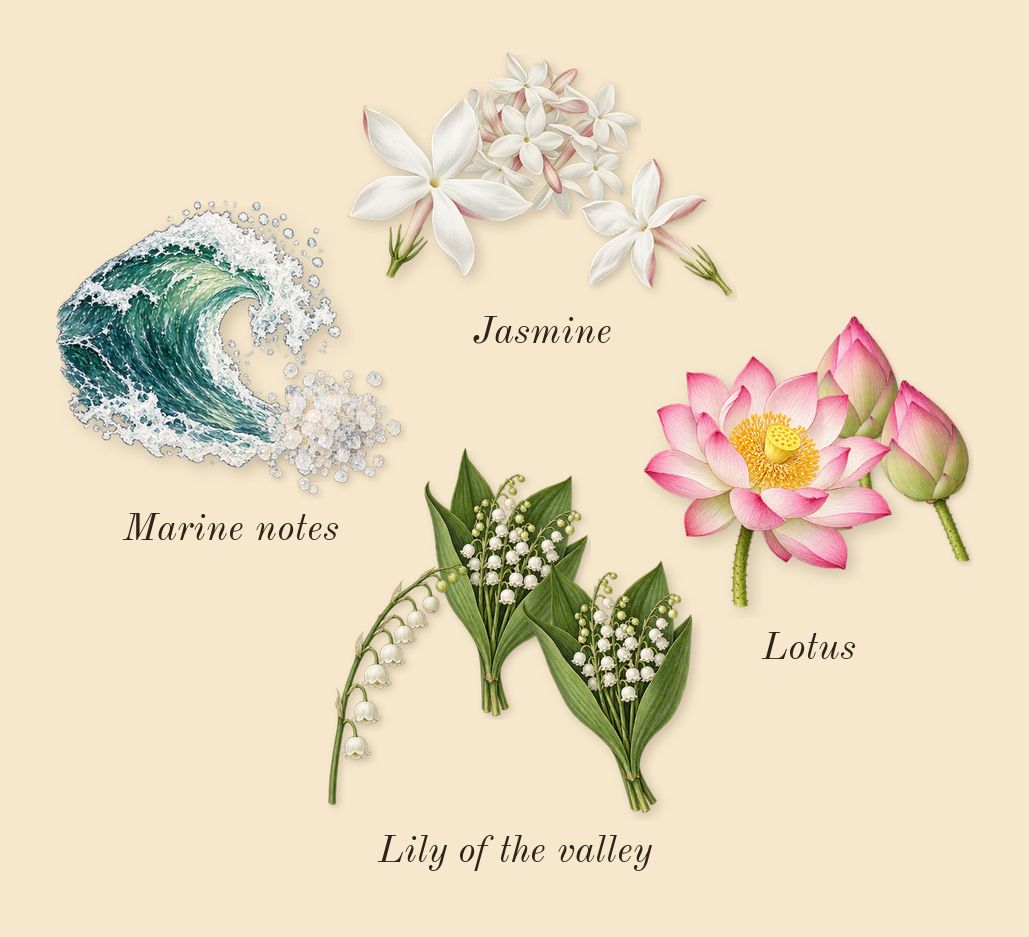 Kaaf, dry-down: Lotus, Jasmine, Lily of the valley, Marine notes