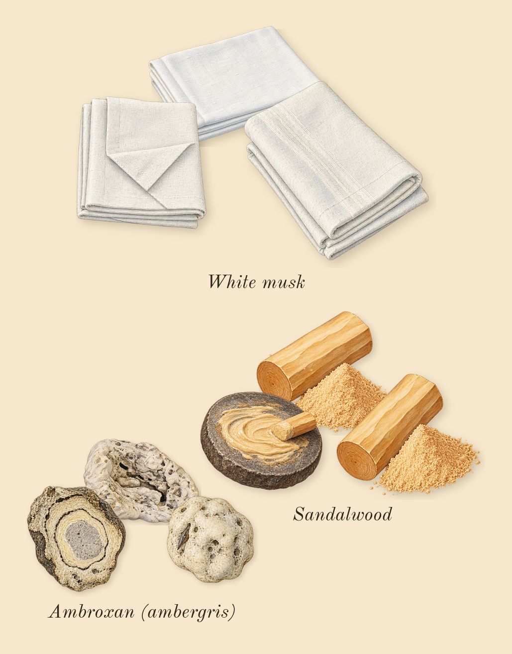 Kaaf, heart: Sandalwood, Ambroxan (ambergris), White musk