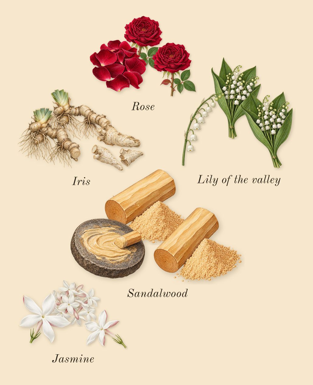 Amber Wood, heart: Iris, Sandalwood, Jasmine, Rose, Lily of the valley