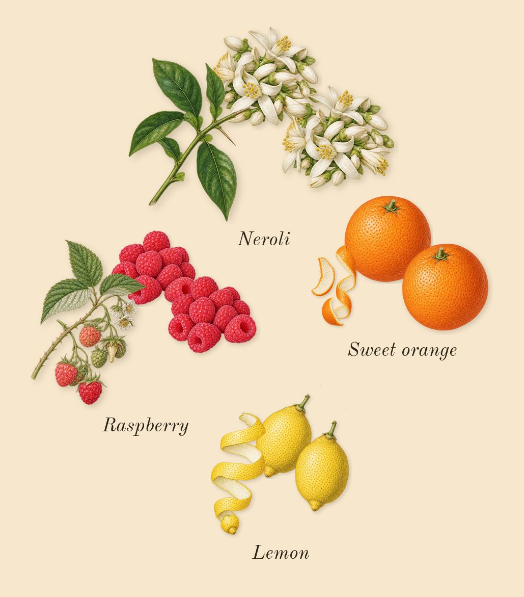Aurum, top notes: Raspberry, Neroli, Sweet orange, Lemon