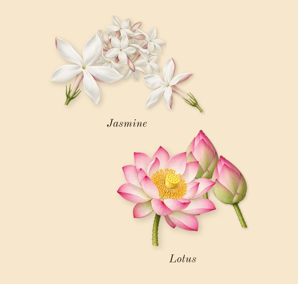 Blu, heart: Lotus, Jasmine