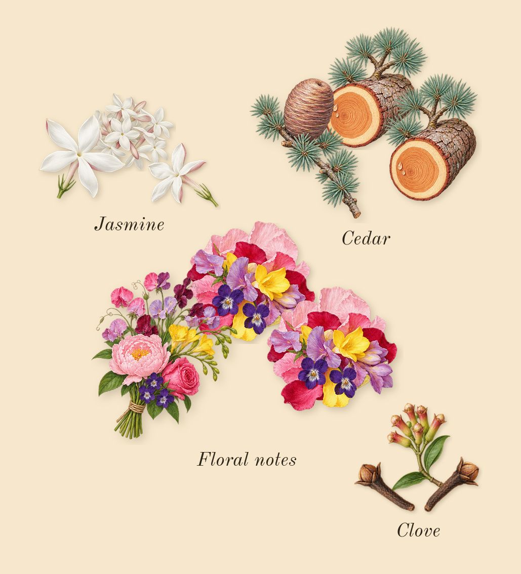 Carbon, heart: Jasmine, Cedar, Floral notes, Clove
