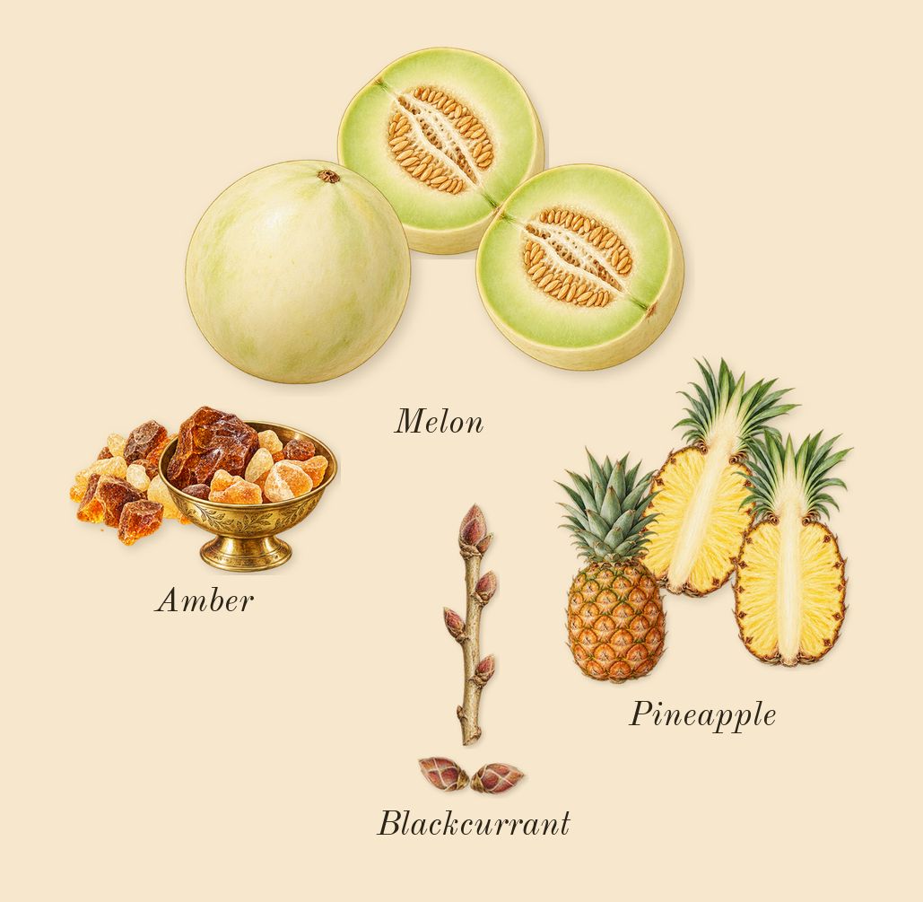 Amber Oud Aqua Dubai, heart: Melon, Pineapple, Amber, Blackcurrant