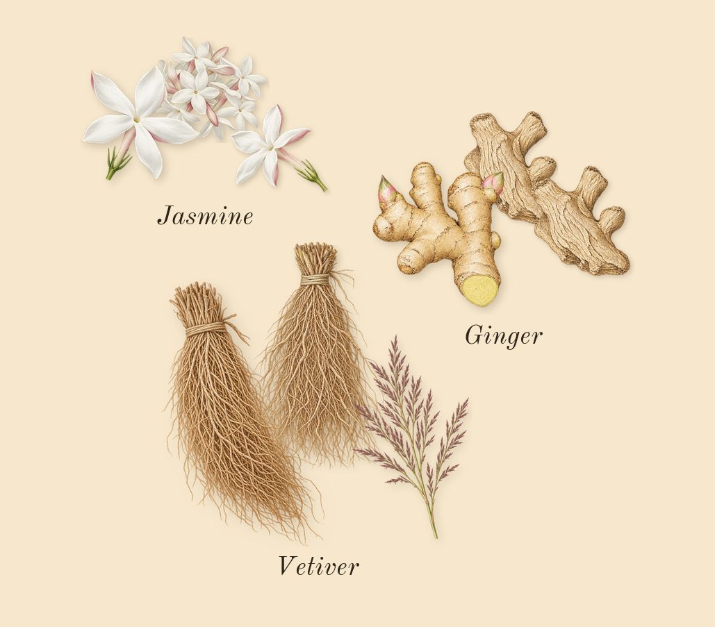 Amber Oud Bleu Edition, heart: Ginger, Jasmine, Vetiver